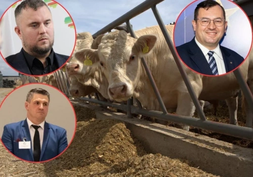 Rolnicy: państwo zawiodło. Minister tłumaczy brak skargi do TSUE