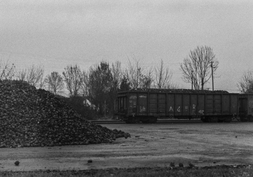 AKTUALIZACJA: Kto zarobił na trefnym węglu? Afera węglowa Morawieckiego