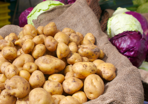 Ignacy bezkonkurencyjny kolejny rok z rzędu