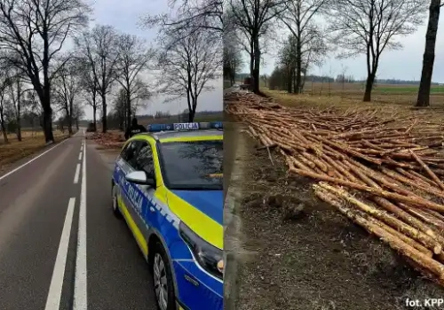 Ciężarówka „zgubiła” drewno. Droga wojewódzka częściowo nieprzejezdna