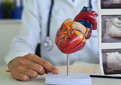 Rak serca – jakie są objawy i przyczyny nowotworu serca? Diagnostyka i leczenie