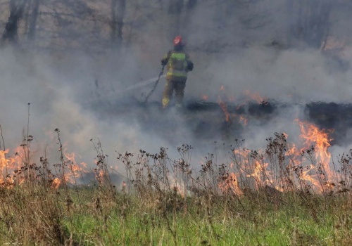 Małopolska. W pożarze traw w Szaflarach zginął 45-latek