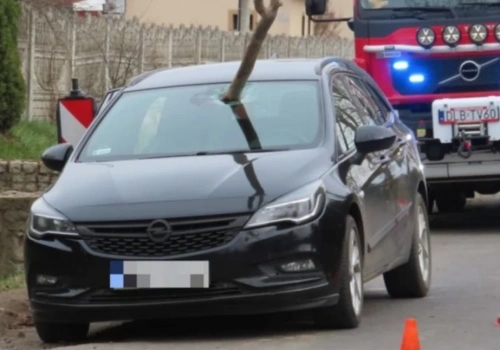 Sekundy od tragedii. Konar przebił szybę jadącego auta