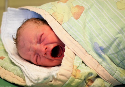 ZUS płaci ojcu po porodzie. Jeden warunek decyduje o wszystkim. O co chodzi?