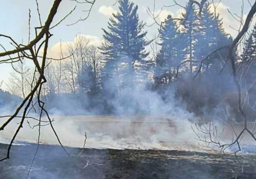Pół hektara spalonej ziemi w Bystrem. Policja szuka podpalacza