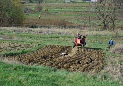 Wojna w Iranie uderzyła w polskich rolników. 