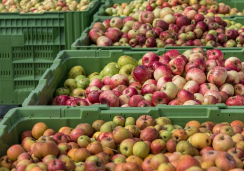 Koniec 70-letniej historii. Producent soków zamyka zakład po fiasku ratunku