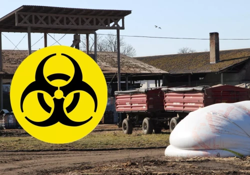 Bioterroryzm uderzy w rolnictwo? Pojawiają się niepokojące informacje
