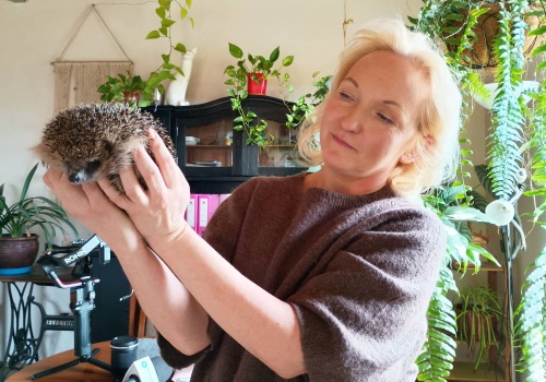Z wizytą u opiekunki chorych jeży | WIDEO