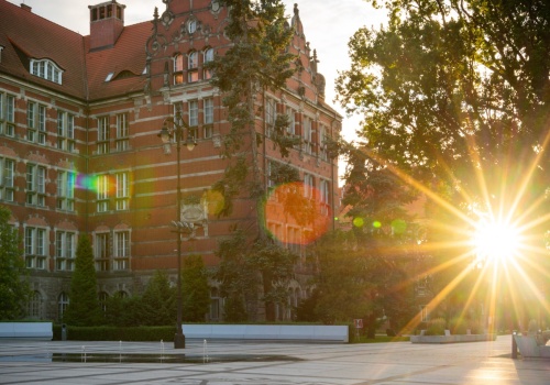 Naukowcy z Politechniki Gdańskiej udowadniają, że żelatyna może się przydać w medycynie