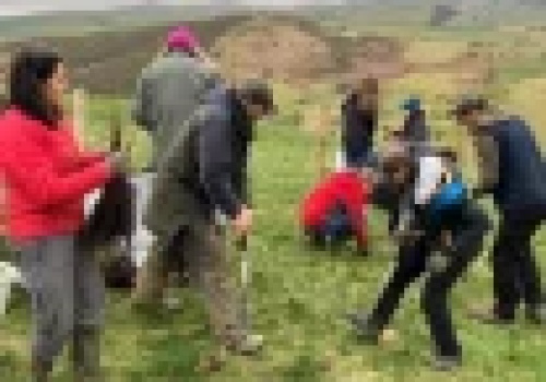 Mieszkańcy sadzą tysiące drzew, by chronić domy przed powodzią