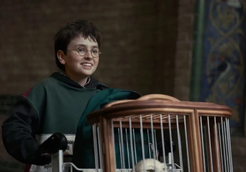 „Postacie z Temu”; „Czarnego Snape'a nie wybaczę”. Burza po zwiastunie serialu „Harry Potter”