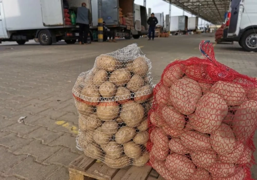 Skrajne ceny na Broniszach. Pomidory nawet 27 zł, ziemniaki za grosze
