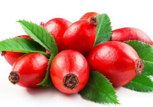 Owoce dzikiej róży: Zapomniane lekarstwo natury na zapalenie stawów i nie tylko