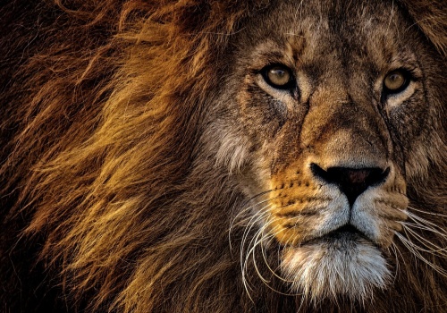 ING Bank Śląski wprowadza funkcję, która może uratować twoje pieniądze. Powinna być standardem