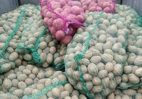 Ceny ziemniaków spadają. Eksport ratuje rynek, ale nie wszystkich