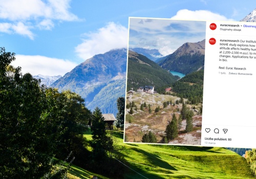 Poszukują wolontariuszy, którzy chcieliby bezpłatnie zamieszkać w górach na miesiąc