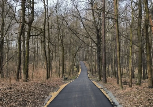 Zamknięty odcinek rolkostrady w Dolinie Trzech Stawów. Jest objazd przez las