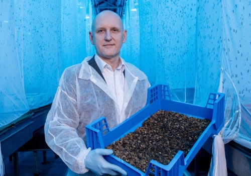 HiProMine ma zgodę FDA na eksport produktów do USA