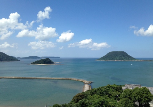 To była jedna z największych militarnych katastrof średniowiecza. Wrak u wybrzeży Japonii to potwierdza