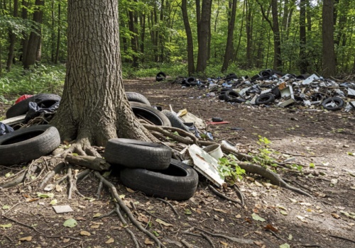 Nawet 10 tys. zł za śmieci w lesie. Rząd zaostrza kary!