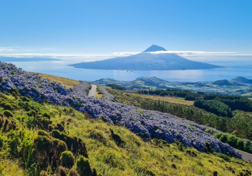 Portugalskie 3w1😮⛰️🌺, czyli Azory w niespotykanej dotąd odsłonie z Warszawy za 2193 PLN