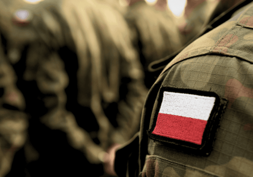 Palantir prześwietlony przez polskich żołnierzy. Podbije wojsko?