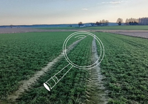 Przetargi KOWR pod lupą ministra. Co się zmieni?