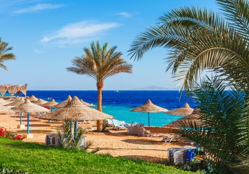 Rodzice zostawili pięcioro dzieci i wyjechali na wakacje all inclusive