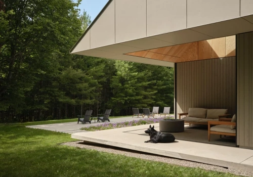 Ten dom ukryto w terenie. Architekci nie walczyli z naturą – wykorzystali ją