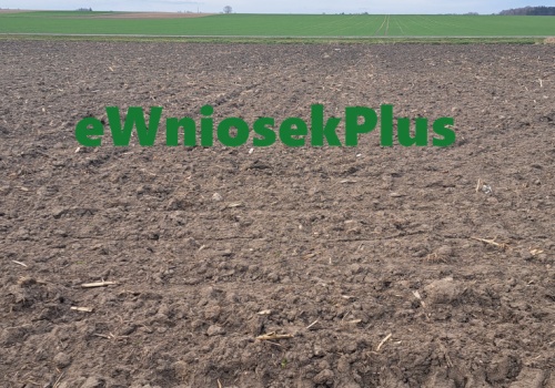 Kampania dopłat 2026. Bardzo dobre tempo składania wniosków