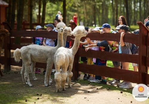 Wiosna i wielkanocne atrakcje w Parku Korzonek. Rodzinne świętowanie pełne niespodzianek!