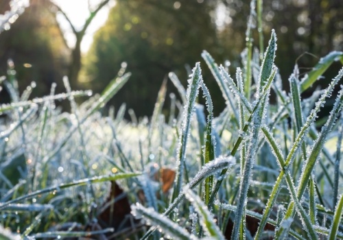 Przymrozki wracają. IMGW ostrzega przed nocnym spadkiem temperatur