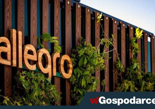 Allegro - tutaj kupisz wszystko… nawet lekarza i wakacje