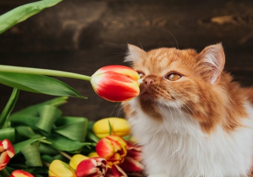 Pogoda na weekend | W sobotę słońce, w niedzielę deszcz