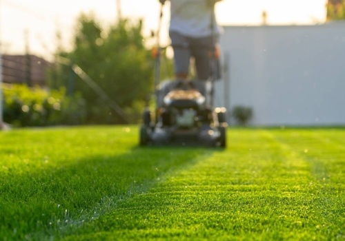 Kosisz trawnik w marcu? Prawie każdy popełnia ten błąd. Sprawdź dlaczego