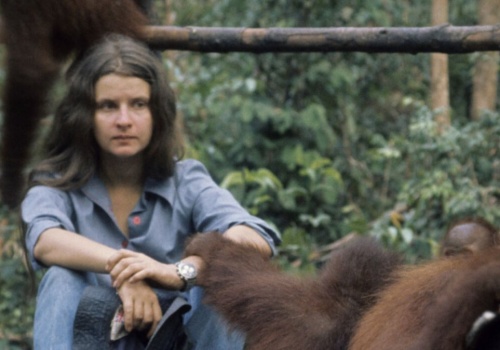Trzecia z Trimates nie żyje. Była legendą ochrony orangutanów