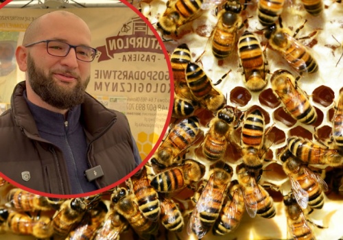 100 hektarów, gdzie miód nie jest dodatkiem, a częścią systemu