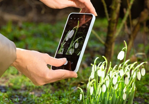 Robisz zdjęcie i pomagasz nauce. Wystarczy telefon