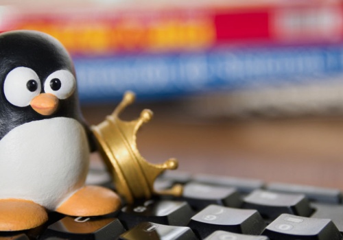 Linux w 2026 roku: to te systemy operacyjne błyszczą dziś najjaśniej