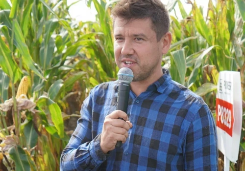 Kukurydza zawiodła mimo „bezpiecznego” terminu. Rolnicy zaskoczeni