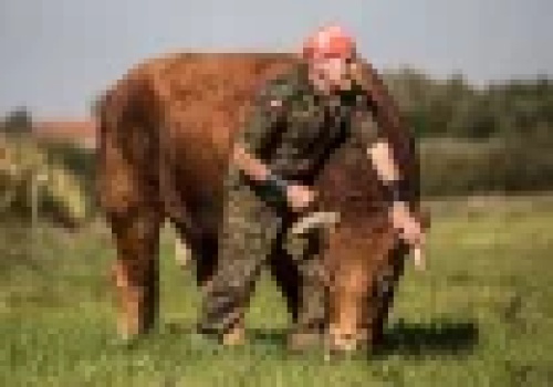 Gospodarstwo Romka Zaklinacza Byków wystawione na licytacji komorniczej