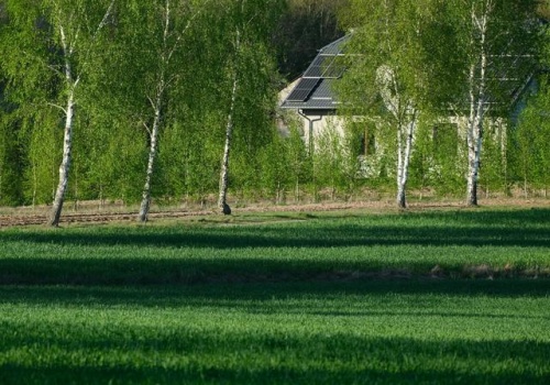 Kupujesz działkę budowlaną? Wiosna pokaże wszystko, czego nie zobaczysz latem