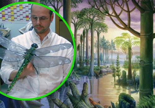 Naukowiec odkrył, czemu insekty kiedyś były ogromne, a już nie są