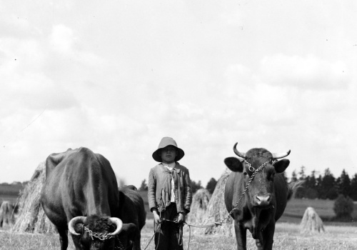Życie na dawnej wsi: Nieślubnym dzieciom nadawano charakterystyczne imiona
