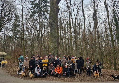 Cyganek – kilkusetletni dąb w Parku Julianowskim w Łodzi otrzymał imię