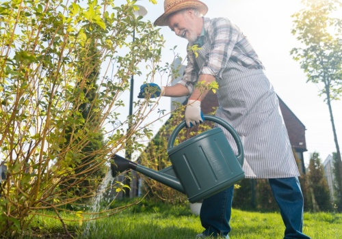 Zagotuj i podlej grządki. Turkuć podjadek wyniesie się do sąsiada