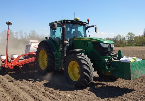 Ile kosztuje materiał siewny kukurydzy? Czy da się jeszcze kupić topowe odmiany?