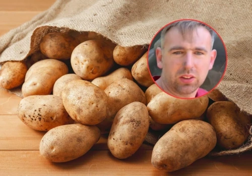 Jeszcze nie posadzili, a cena już spadła o 30%. Rolnik: mam to robić za darmo?