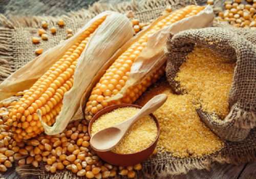 Kukurydza: Odżywczy produkt podstawowy czy ukryte zagrożenie dla zdrowia?
